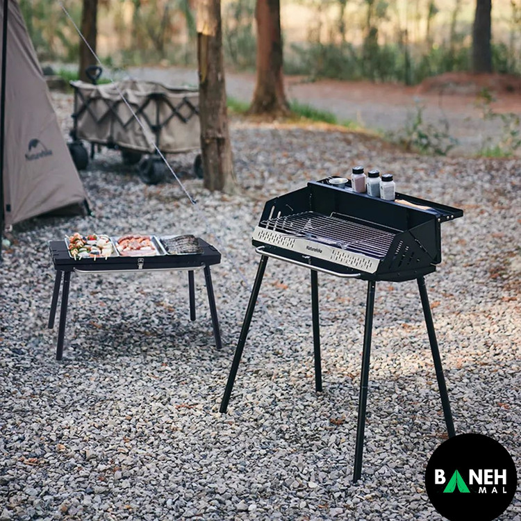 باربیکیو ایستاده نیچرهایک مدل CNK2300015