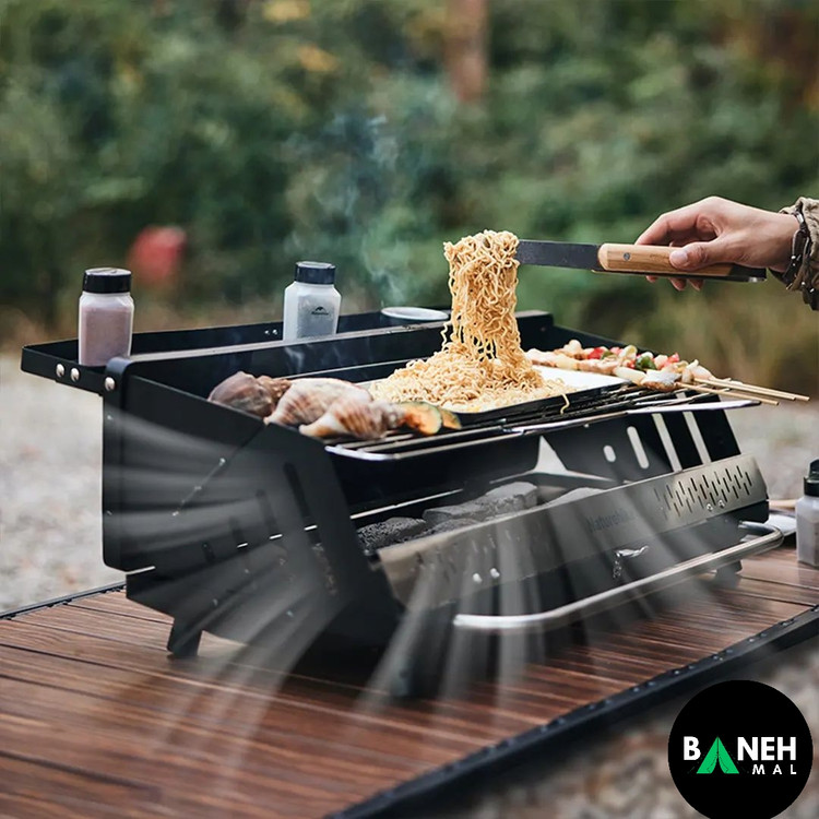 باربیکیو ایستاده نیچرهایک مدل CNK2300015