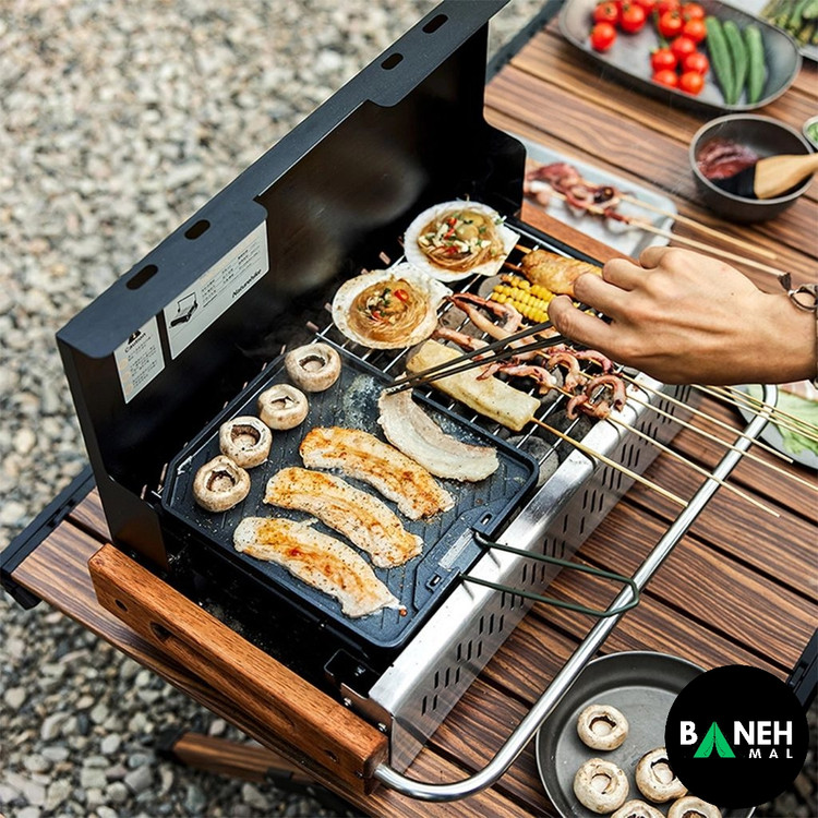 صفحه گریل نیچرهایک مدل CNK2300CJ016