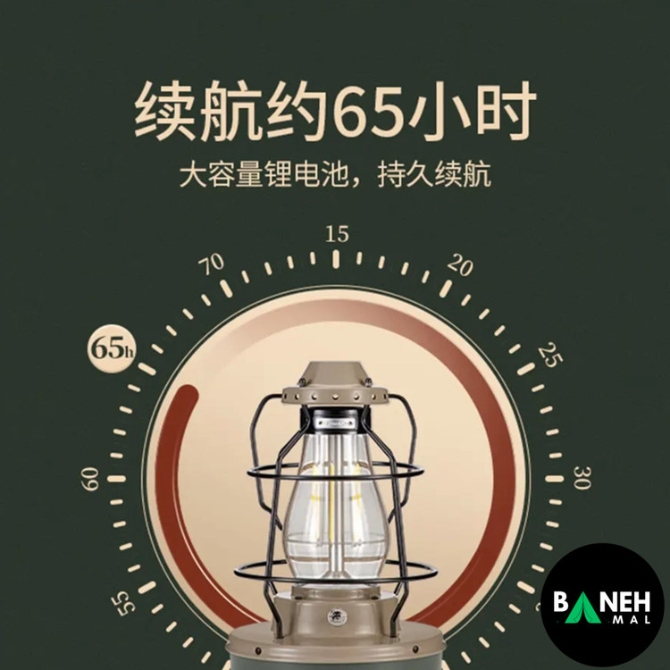 چراغ آویز نیچرهایک مدل NH21ZM010