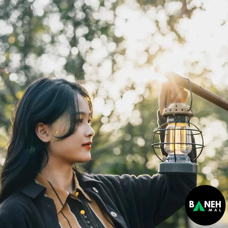 چراغ آویز نیچرهایک مدل NH21ZM010