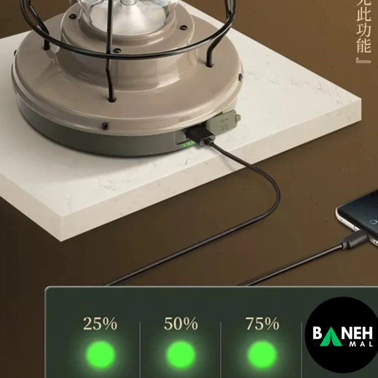 چراغ آویز نیچرهایک مدل NH21ZM010