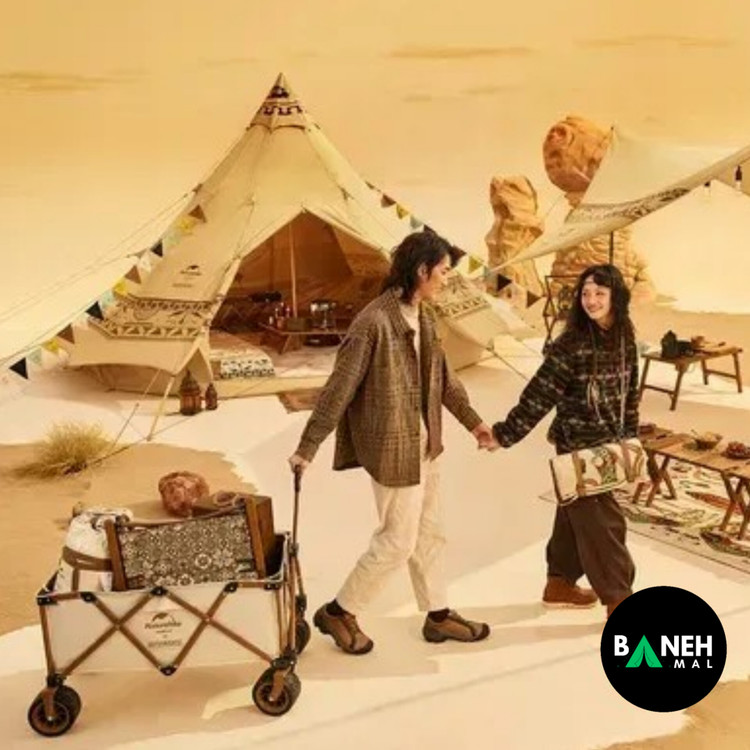 چرخ دستی تاشو نیچرهایک مدل NH20PJ009 سری TC03